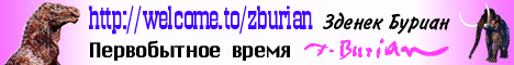 Мой баннер